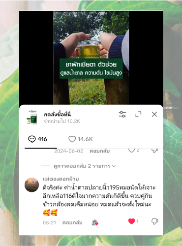 รีวิวชาเชียงดา12