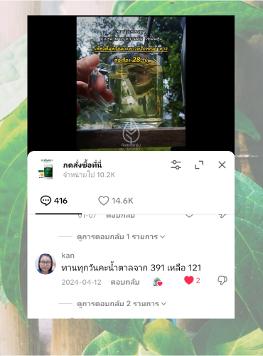 รีวิวชาเชียงดา14