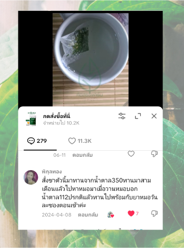 รีวิวชาเชียงดา15