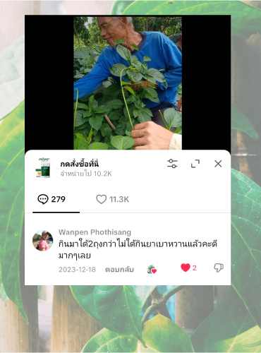 รีวิวชาเชียงดา16