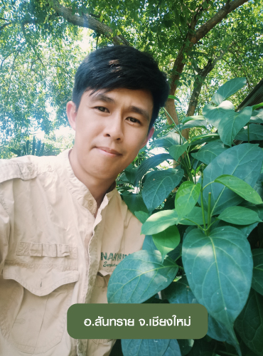 เชียงดา-อำเภอสันทราย-1